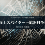 やっぱり主役は婚姻費用でしょ！【離婚弁護士スパイダー初回放送の感想】