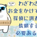 お金をかけて不貞行為の証拠を取るべきか【自分の方が収入が多い人向け】