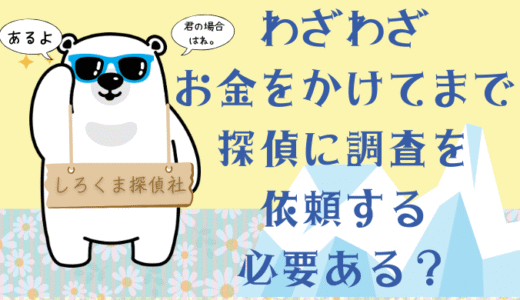 お金をかけて不貞行為の証拠を取るべきか【自分の方が収入が多い人向け】